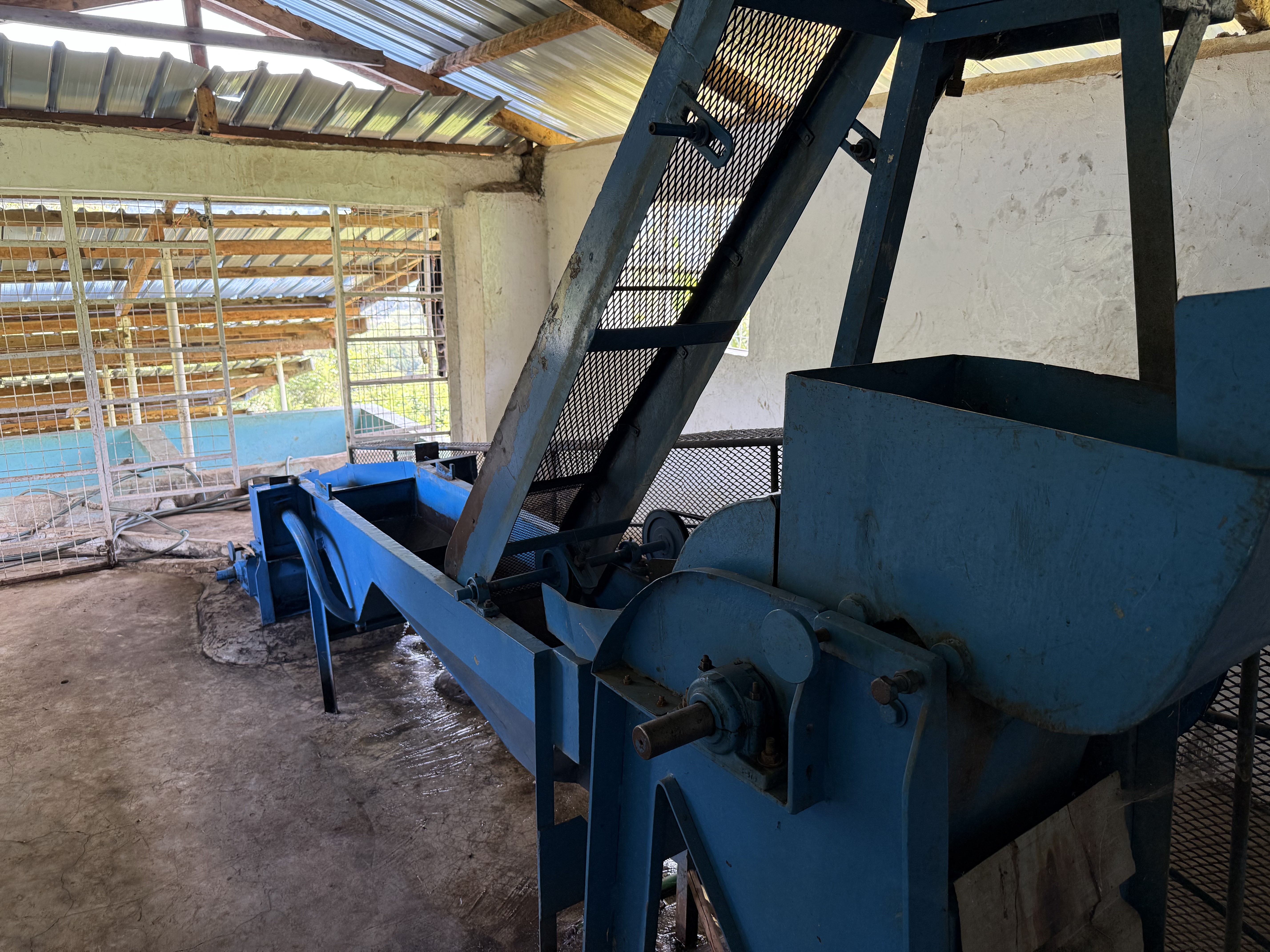 Interior of our processing facility showing pulping and washing equipment for coffee processing